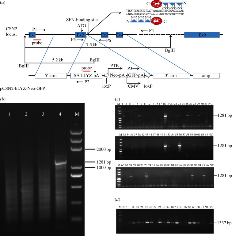 Figure 2.