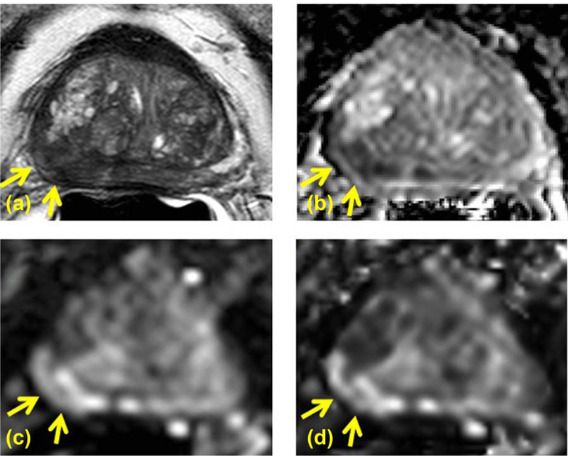 FIGURE 4: