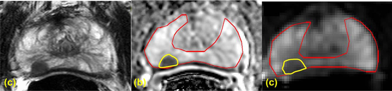 FIGURE 1: