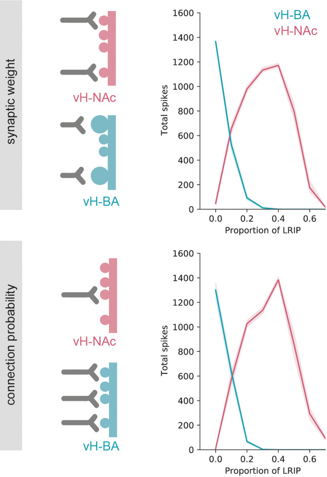 Figure 6—figure supplement 3.