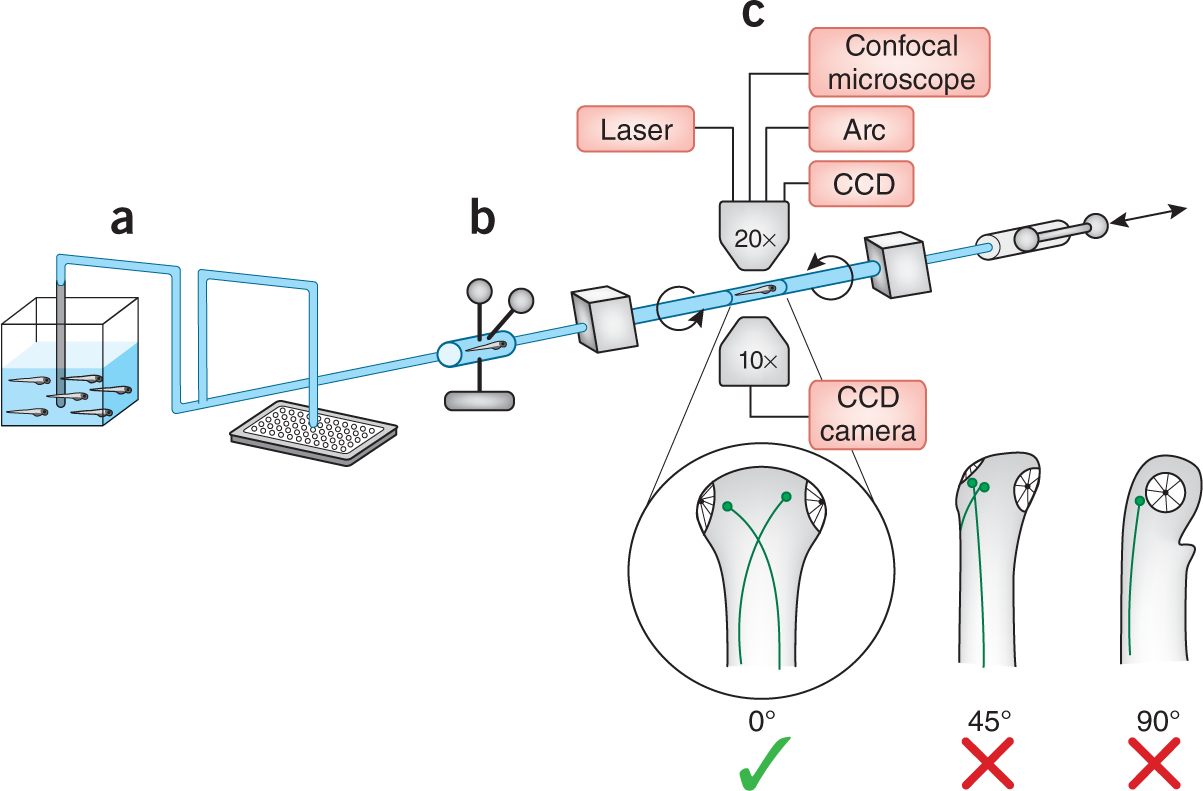 Figure 1 |