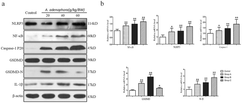 Figure 5