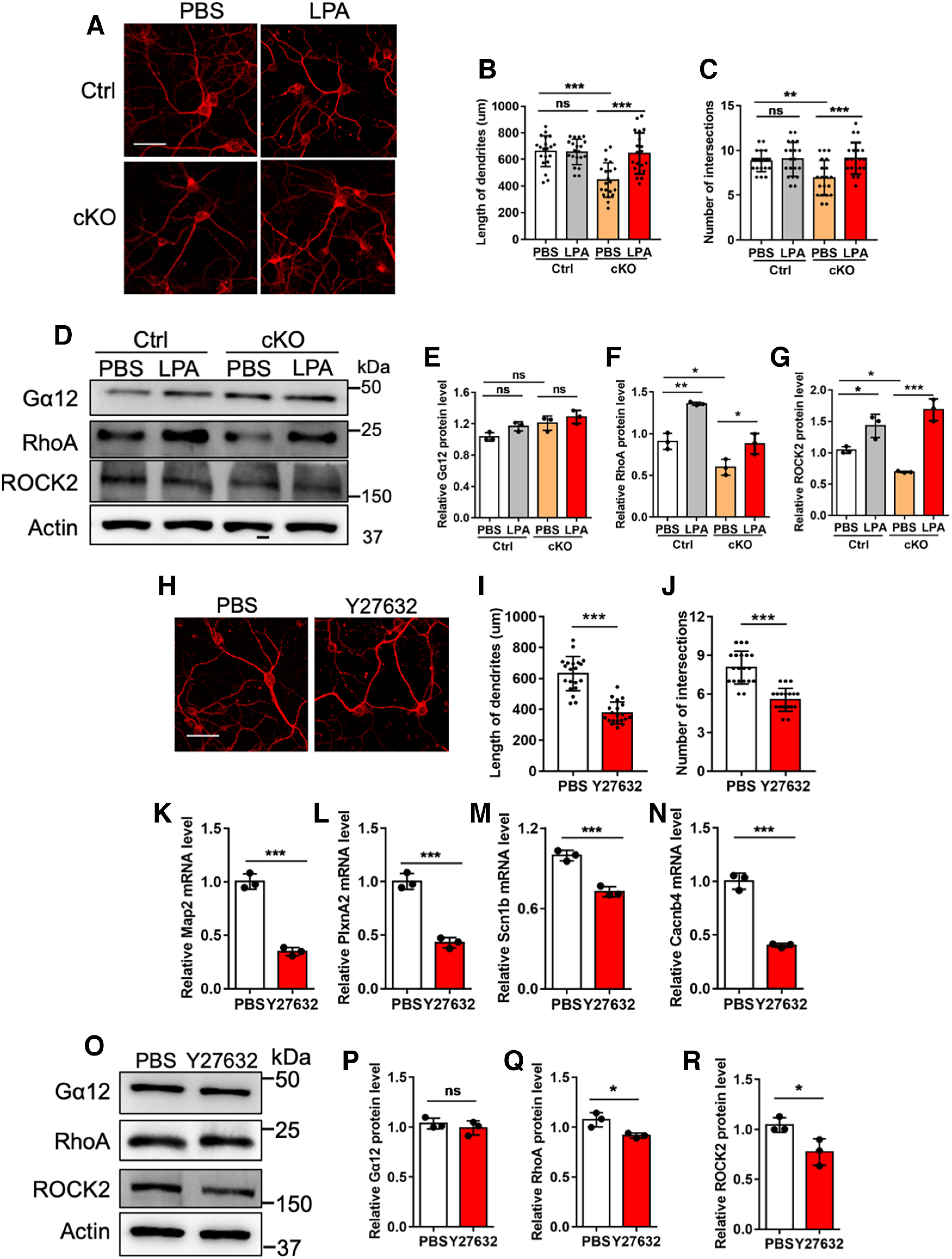 Figure 11.