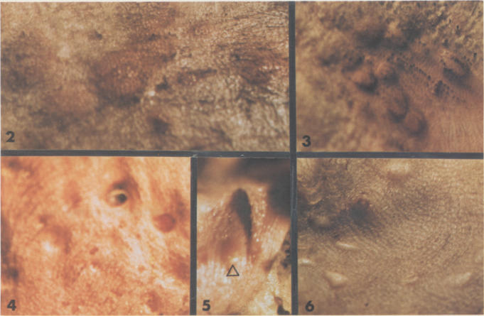 Figure 2., Figure 3., Figure 4., Figure 5., Figure 6.