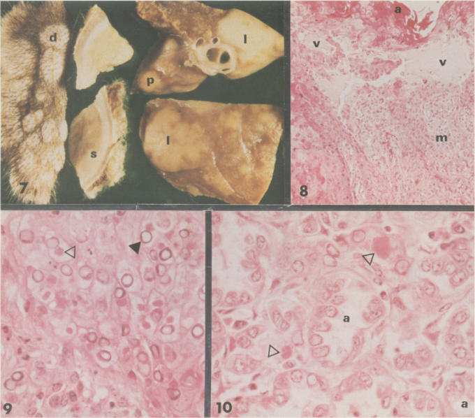 Figure 7., Figure 8., Figure 9., Figure 10.