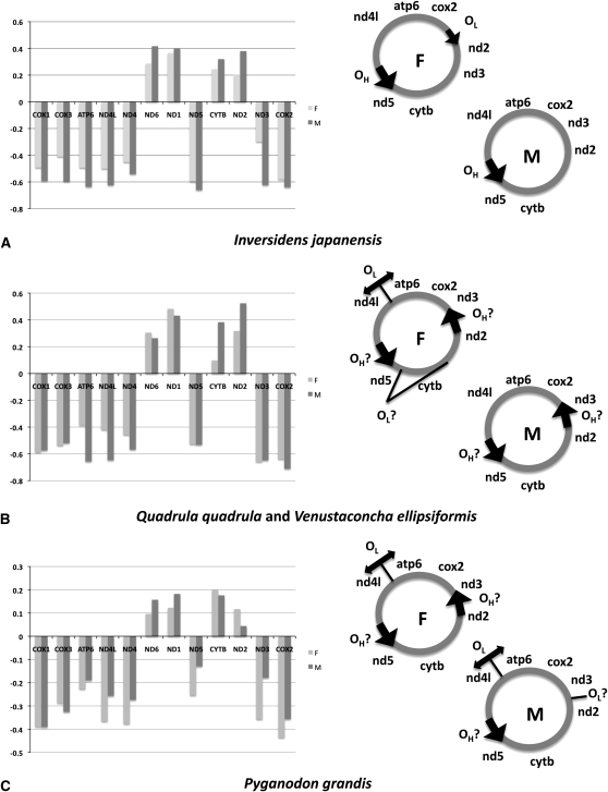 Figure 4.—