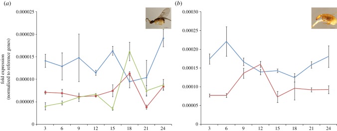 Figure 2.