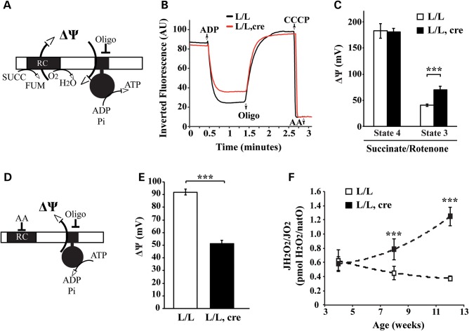 Figure 5.