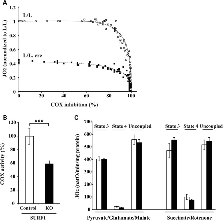 Figure 2.