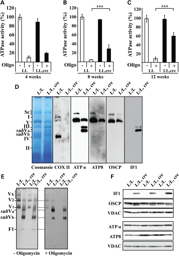 Figure 3.