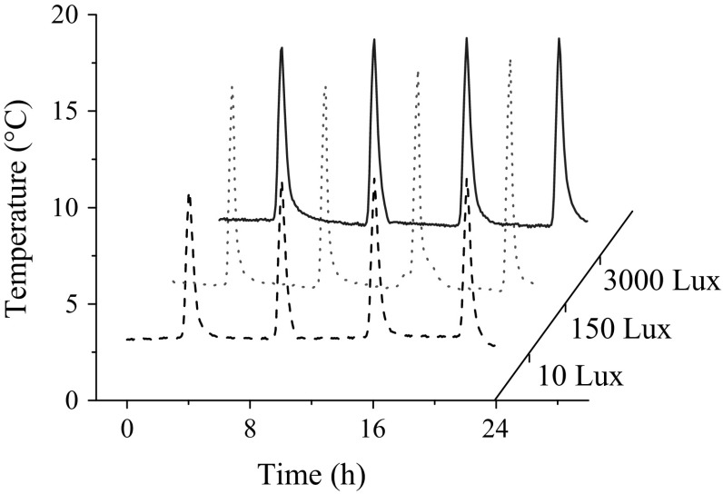 Fig. 1