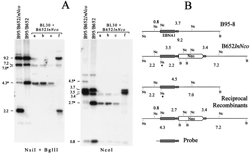 FIG. 6