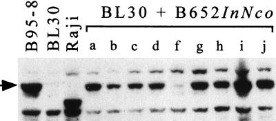 FIG. 5