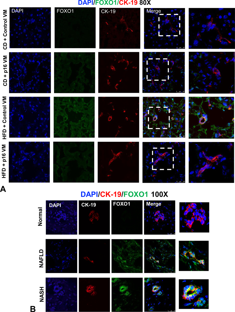 Figure 6: