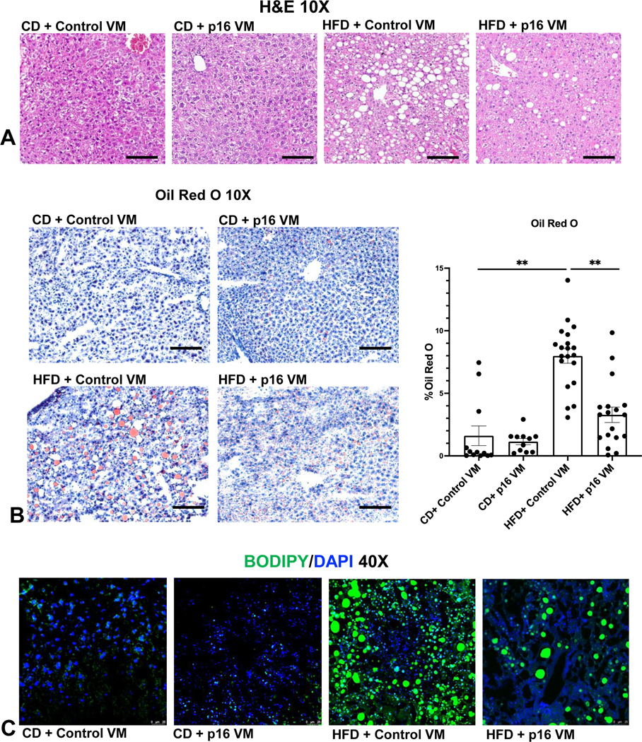 Figure 2: