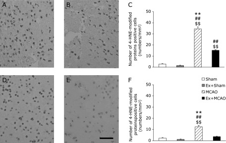 Fig. 4