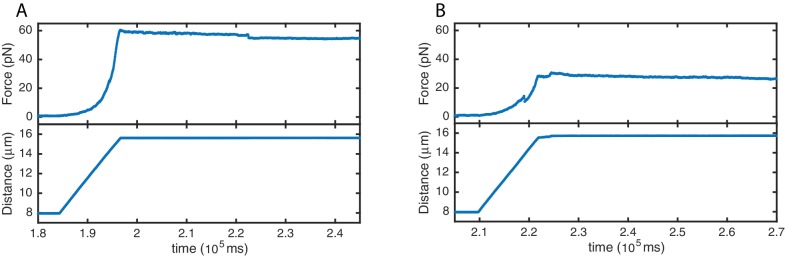 Figure 4—figure supplement 1.