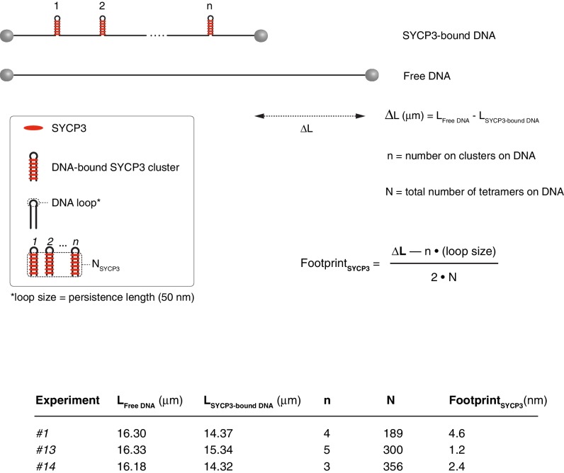 Figure 4—figure supplement 3.