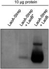 FIG 4