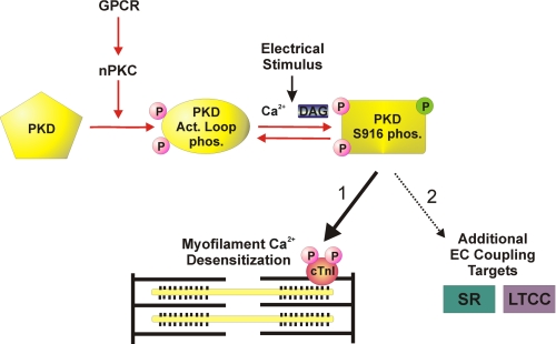 FIGURE 9.