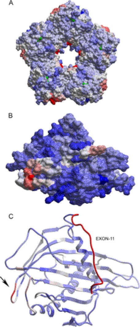 FIGURE 10.