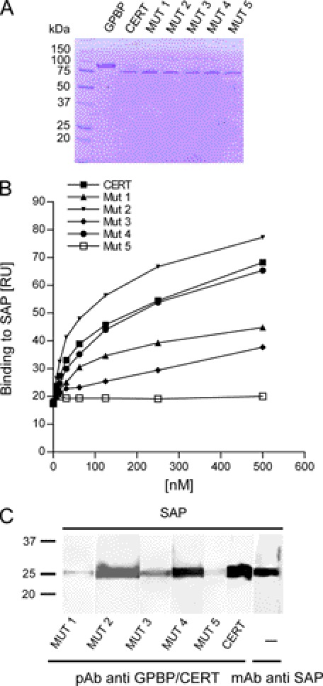 FIGURE 11.