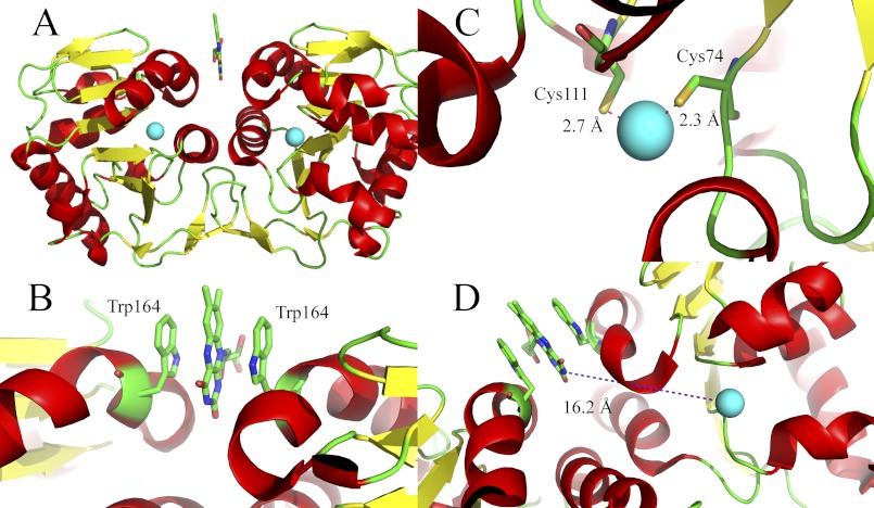 FIGURE 1.