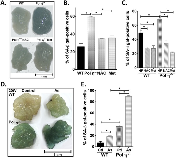 Fig. S8.