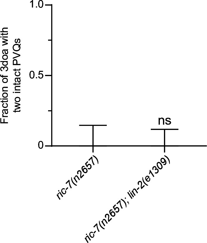 Figure 5—figure supplement 2.