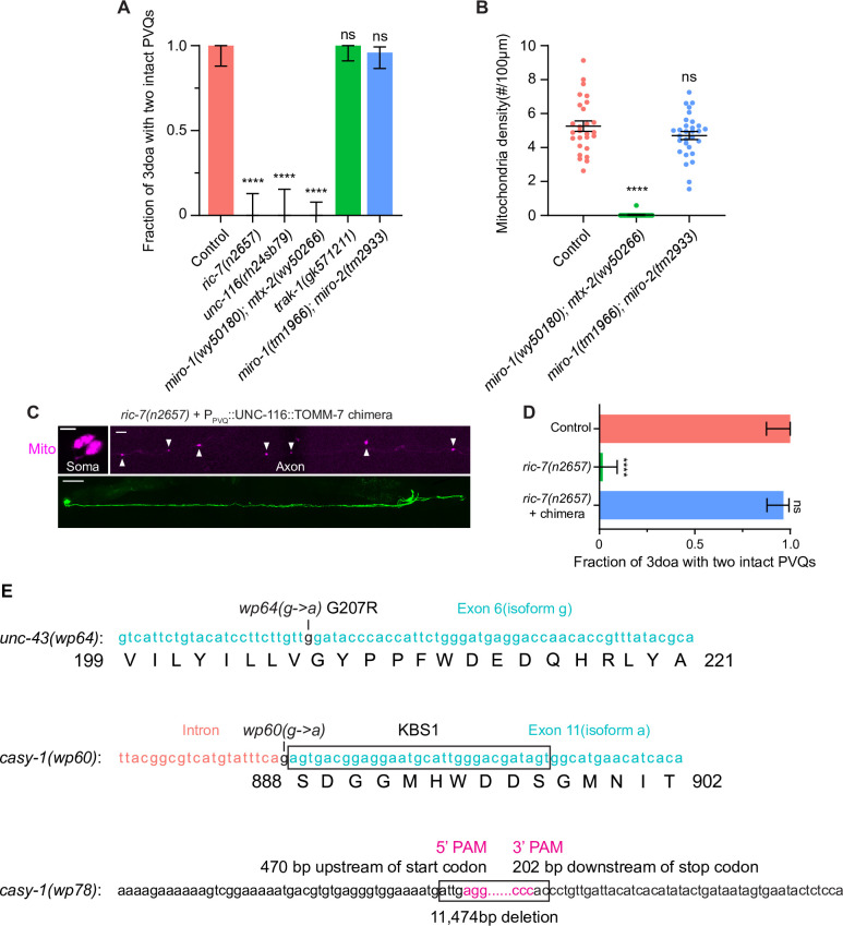 Figure 1—figure supplement 1.