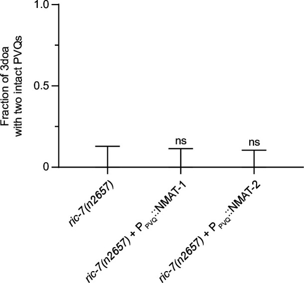 Figure 2—figure supplement 2.