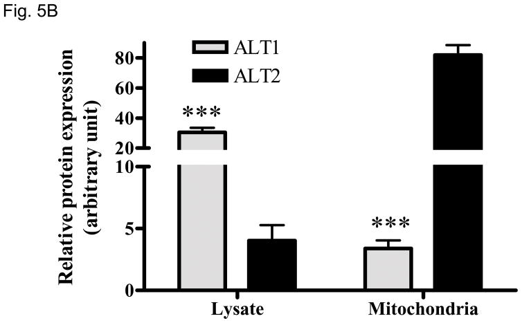 Fig 5