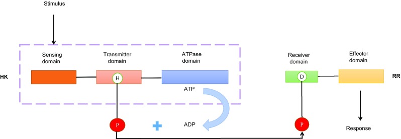 Fig. 3