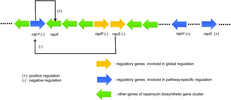 Fig. 2