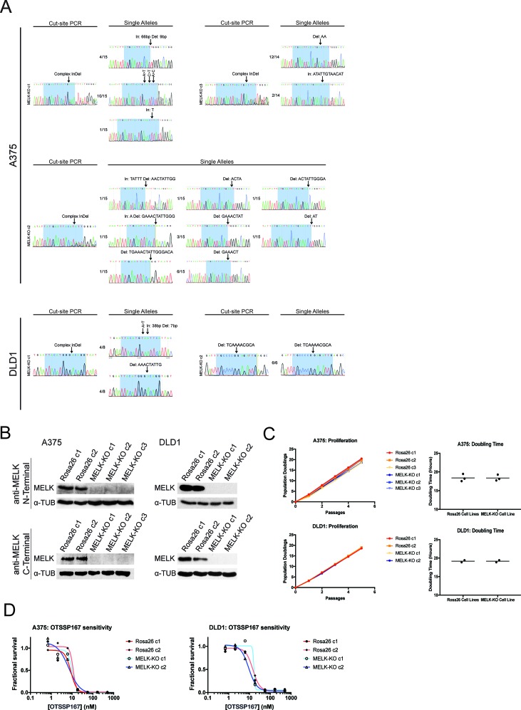 Figure 2—figure supplement 1.