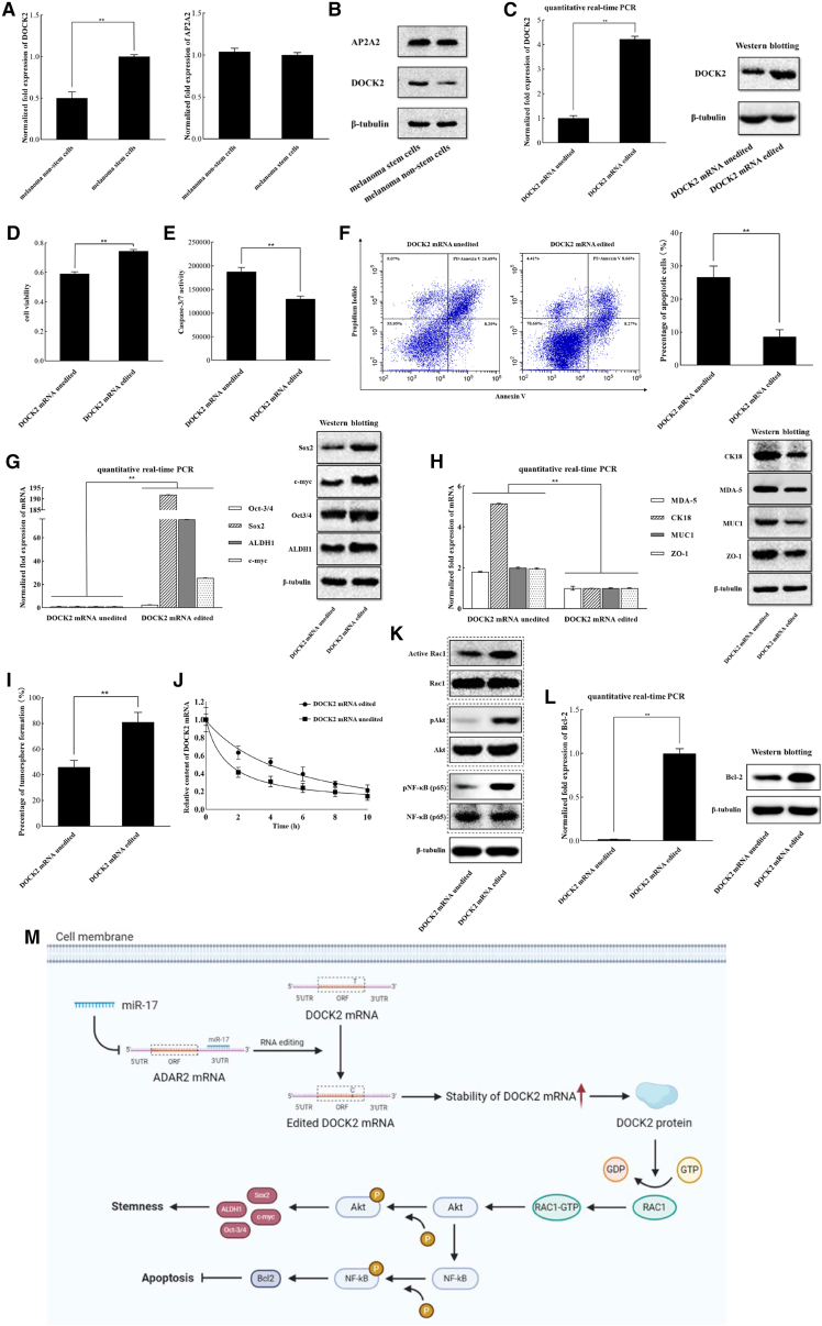 Figure 6