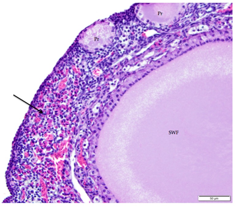 Figure 10