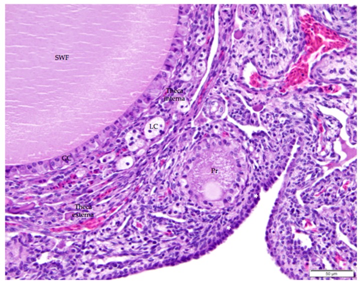 Figure 7