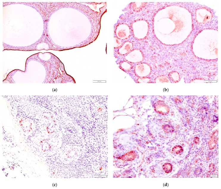 Figure 15