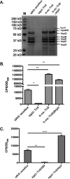 FIG 4