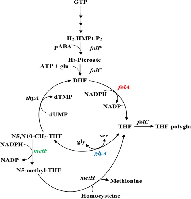 FIG 2