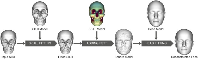 Fig 7