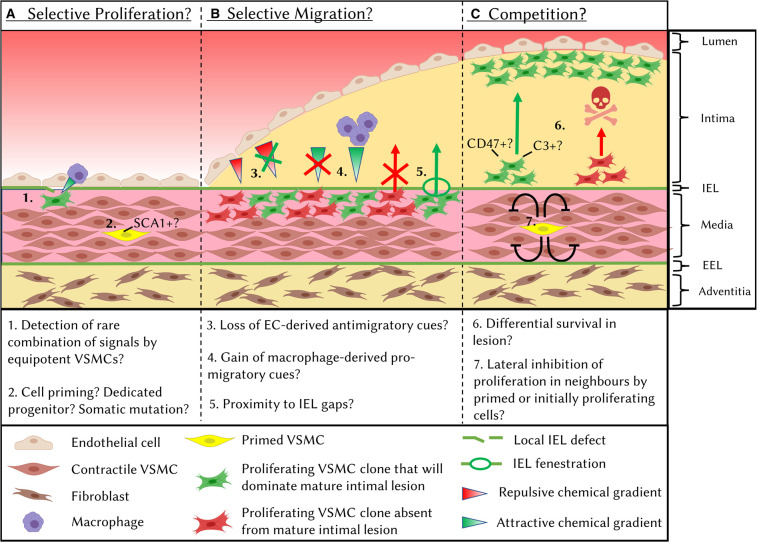 Figure 1.