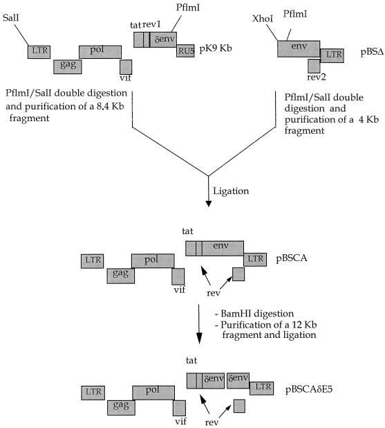 FIG. 1