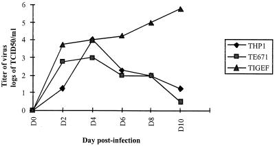 FIG. 3