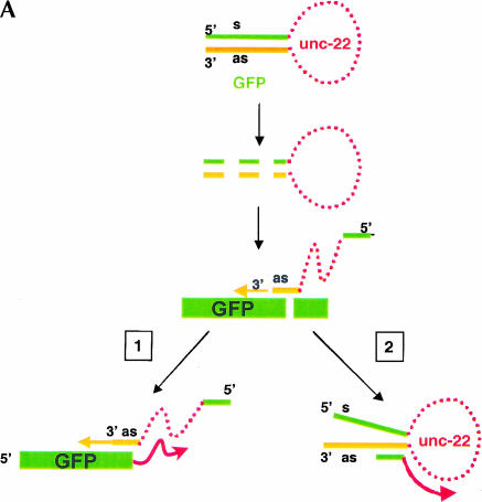 FIGURE 4.