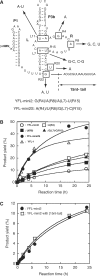 Figure 6.