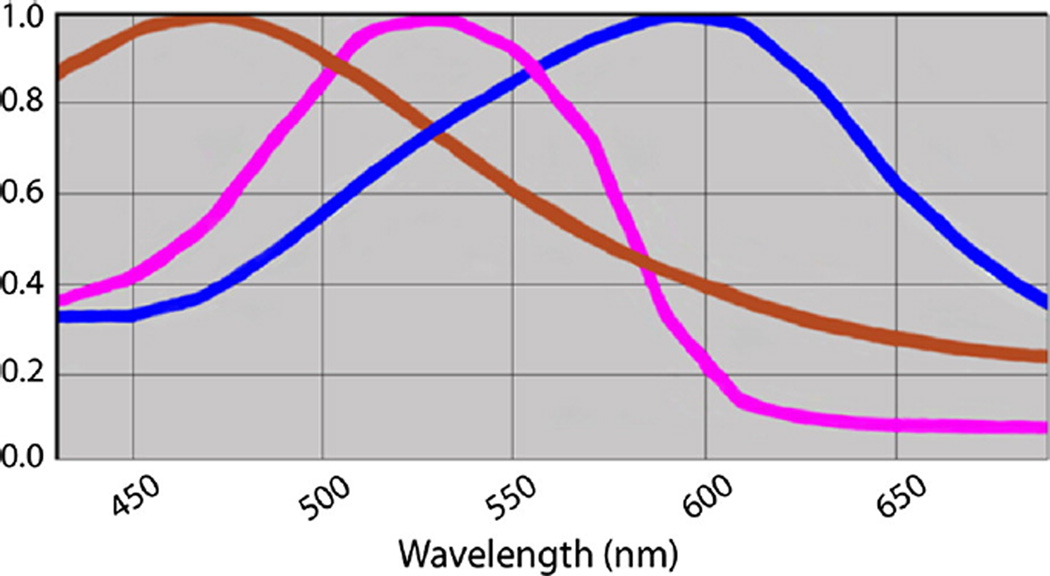 Fig. 1