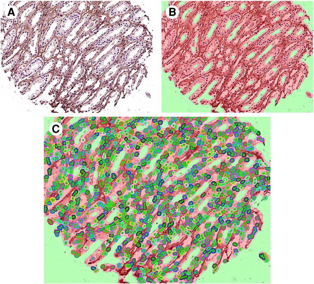 Fig. 3