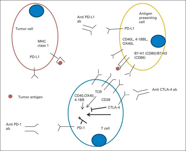 Fig 2.